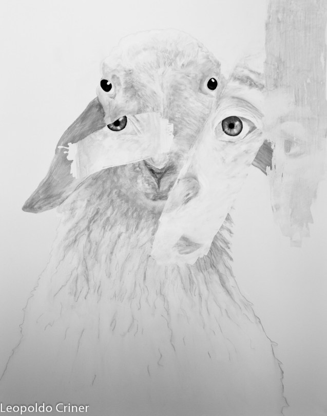 Acrilyc on canvas 80x100 cm